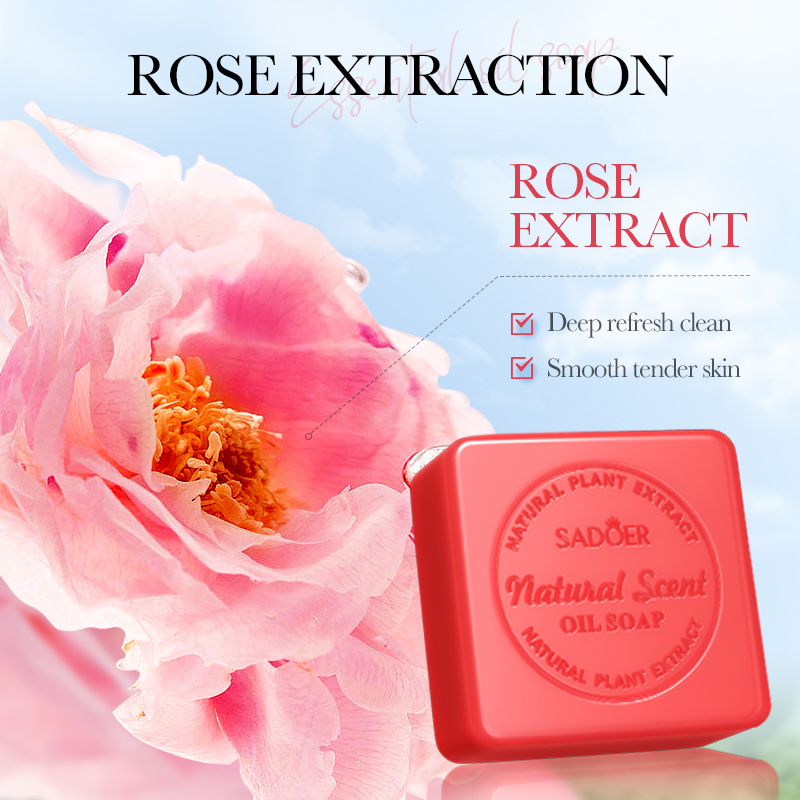 Handgemachte Seife Natürliche  – Soap Making Essential Oils Bewertung und Preis